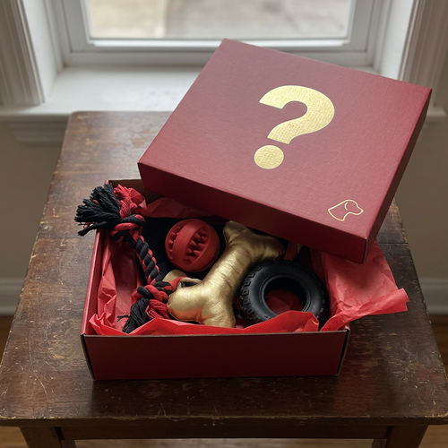 Red DRIP DAWG mystery box with dog toys